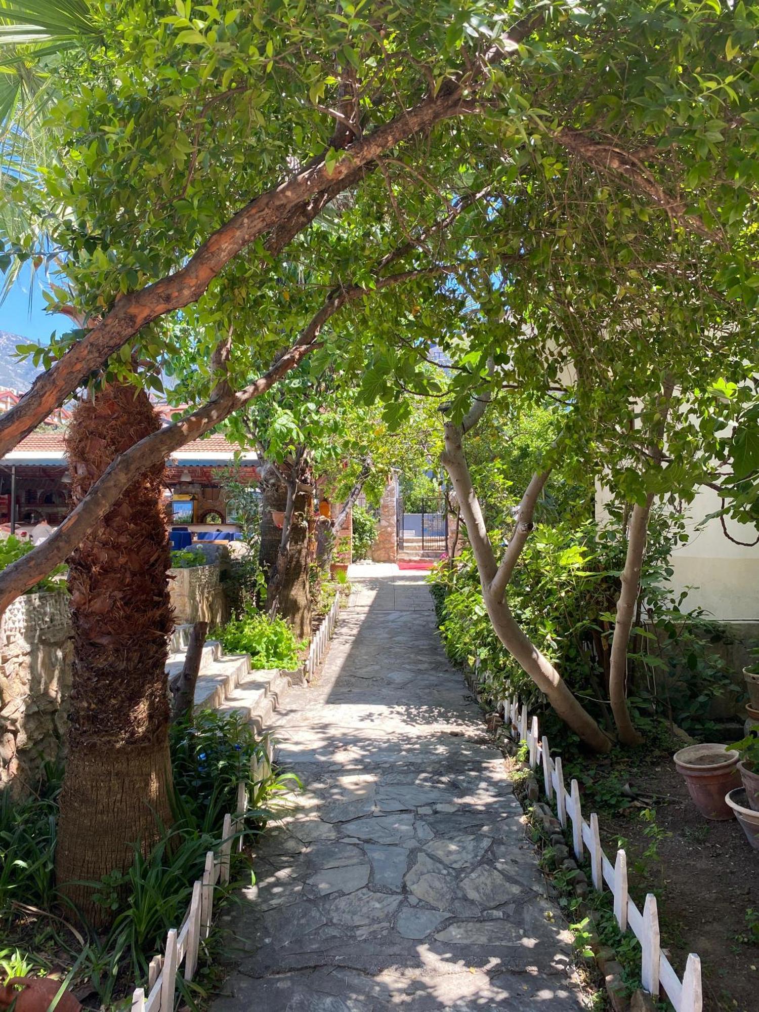 Unlu 2* Ölüdeniz